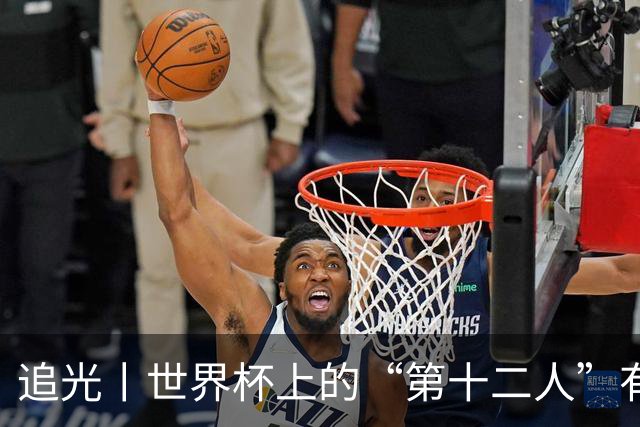 追光丨世界杯上的“第十二人”有多能整活？